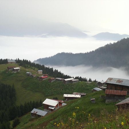 Ayder Hasimoglu Hotel Esterno foto