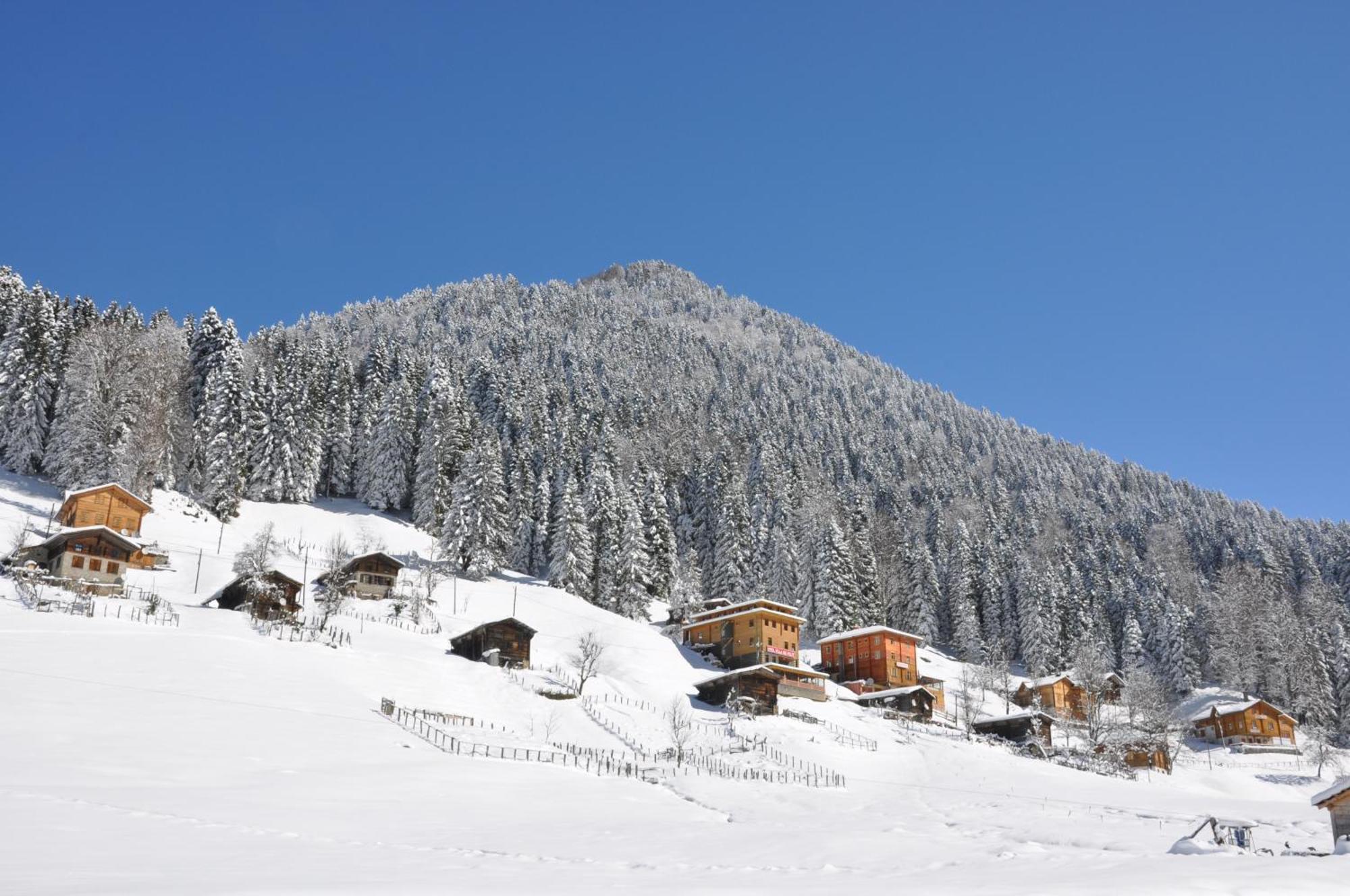 Ayder Hasimoglu Hotel Esterno foto