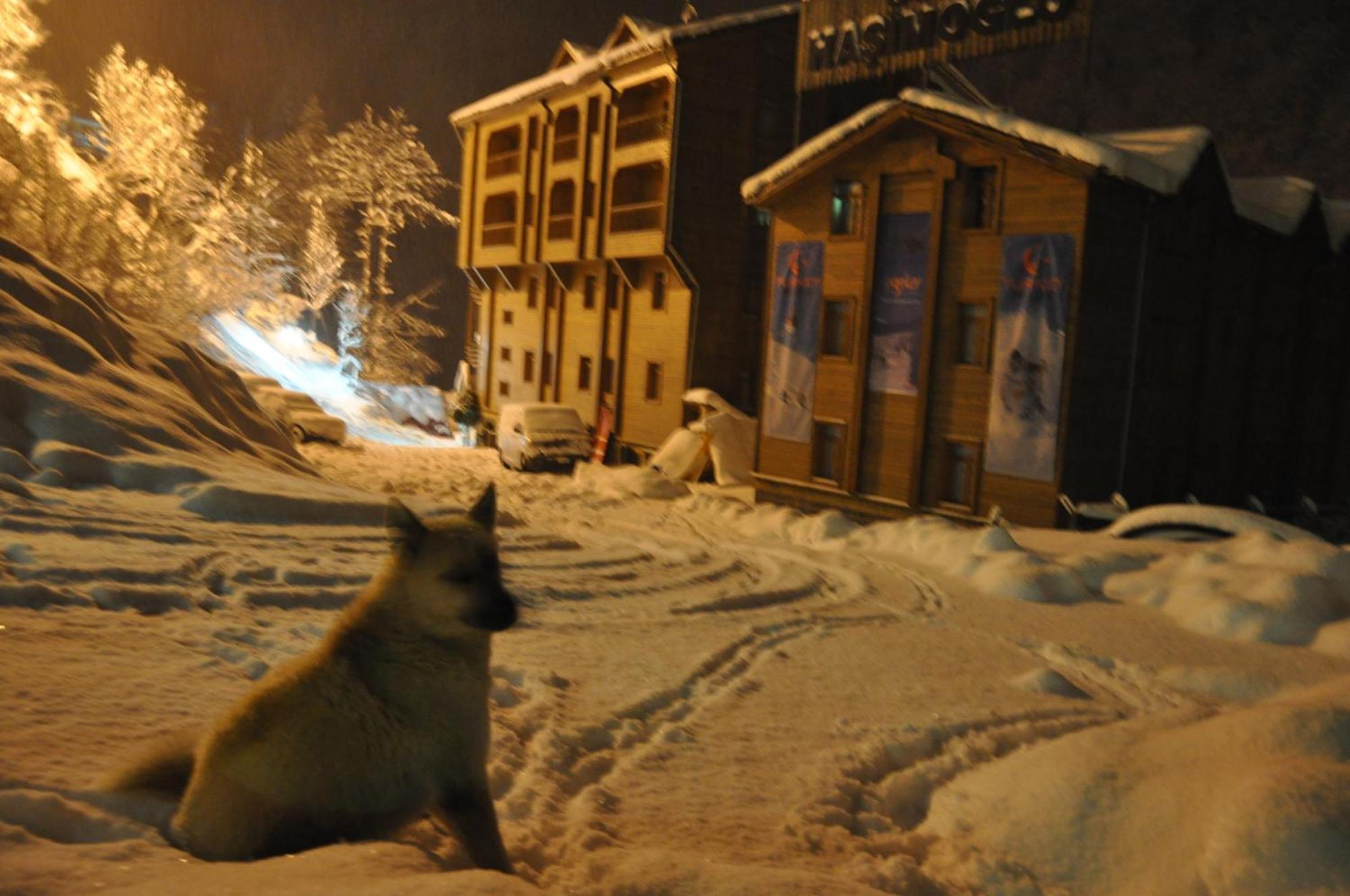 Ayder Hasimoglu Hotel Esterno foto